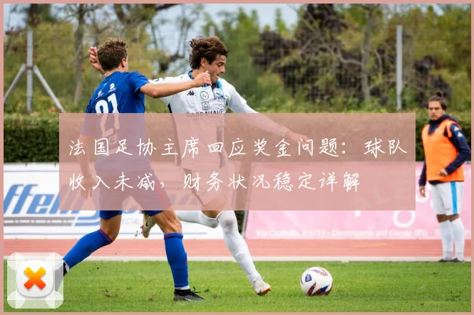 法国足协主席回应奖金问题:球队收入未减,财务状况稳定详解