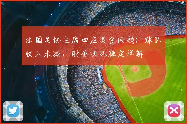 法国足协主席回应奖金问题:球队收入未减,财务状况稳定详解